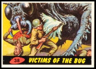 38 Victims of the Bug